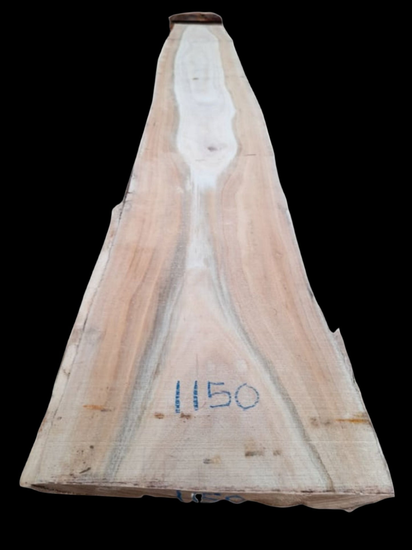 #1150 - Mountain Ash