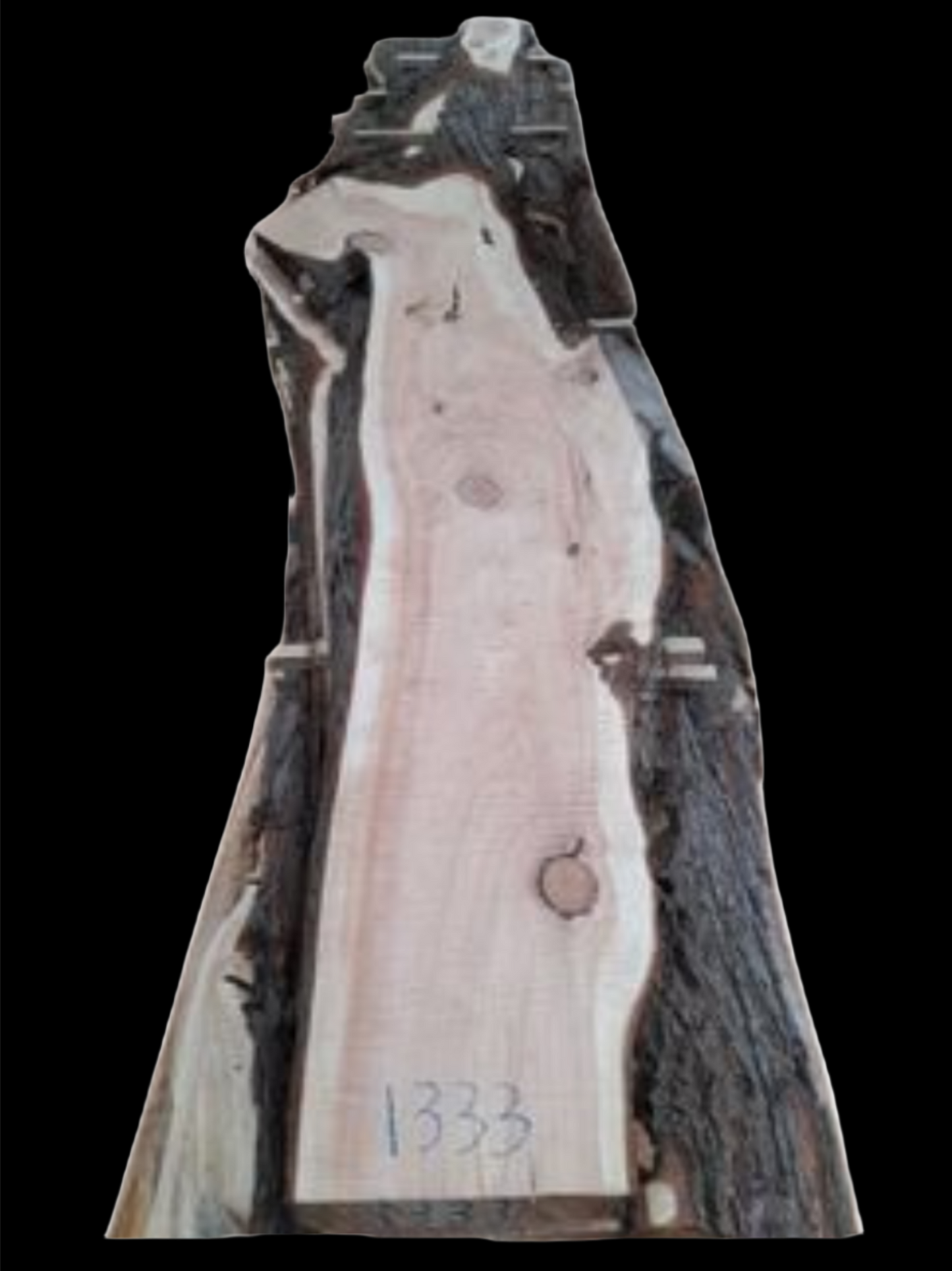 #1333 - Cypress Pine