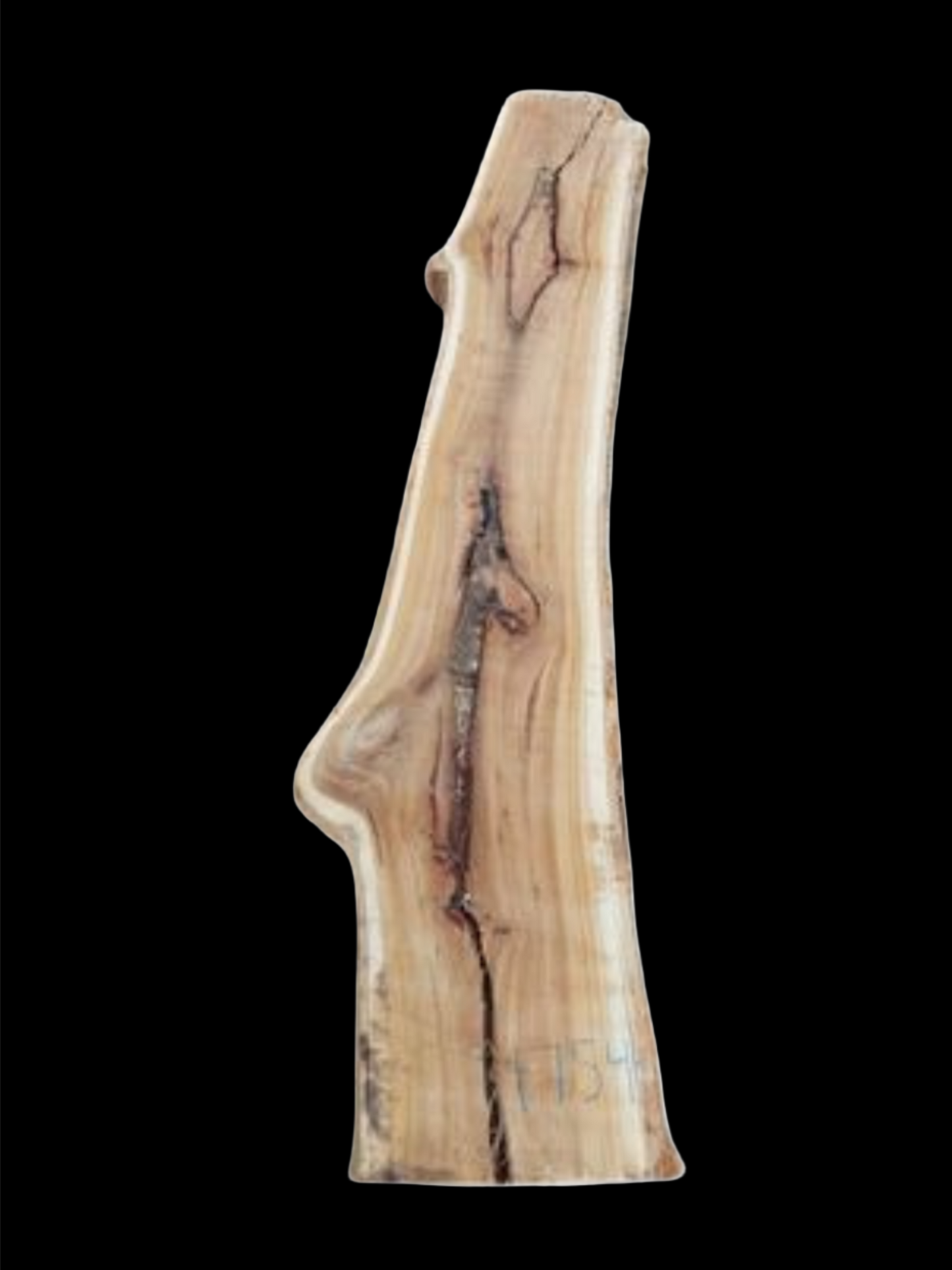 #1754 - Spotted Gum