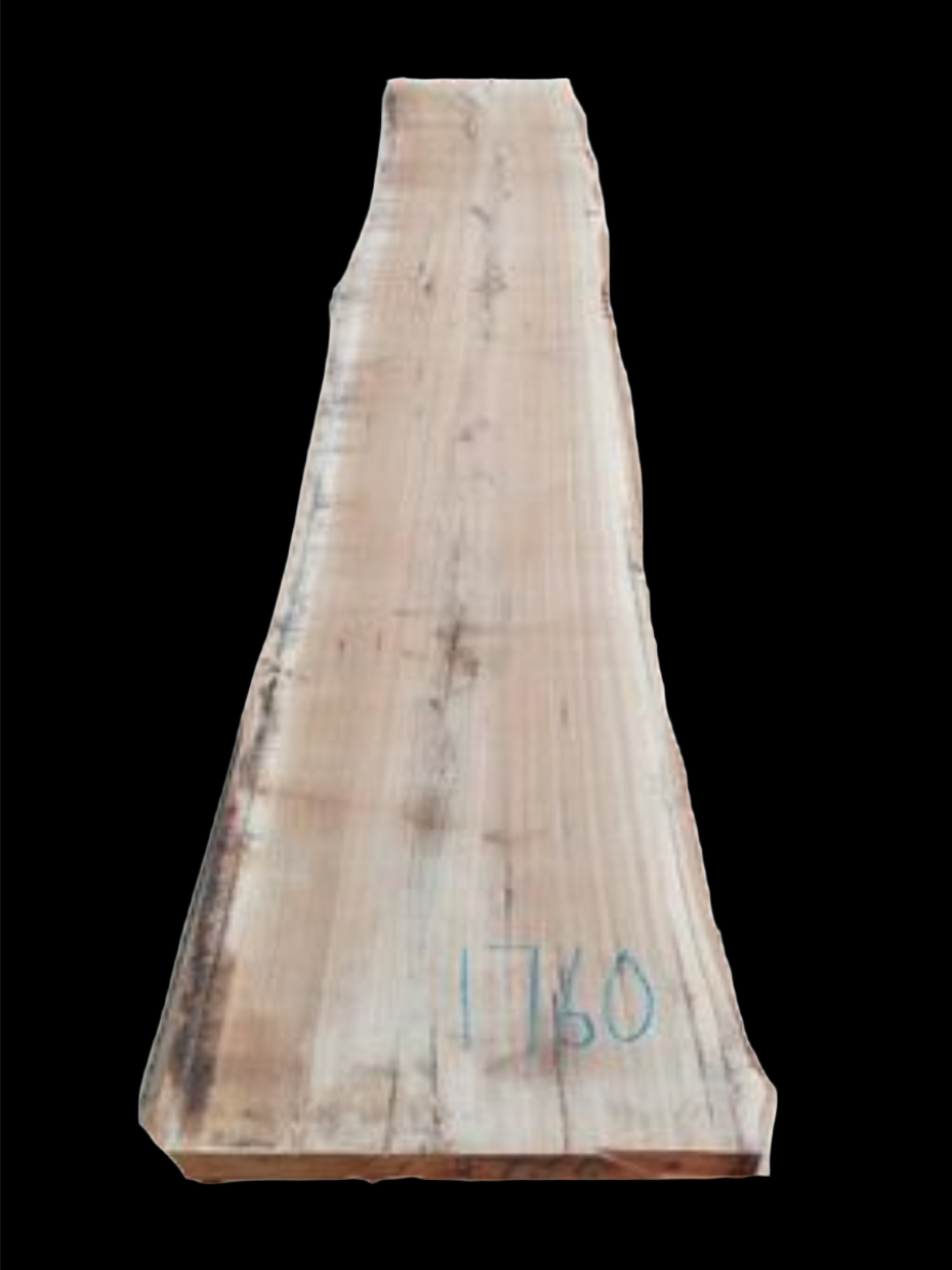 #1760 - Spotted Gum