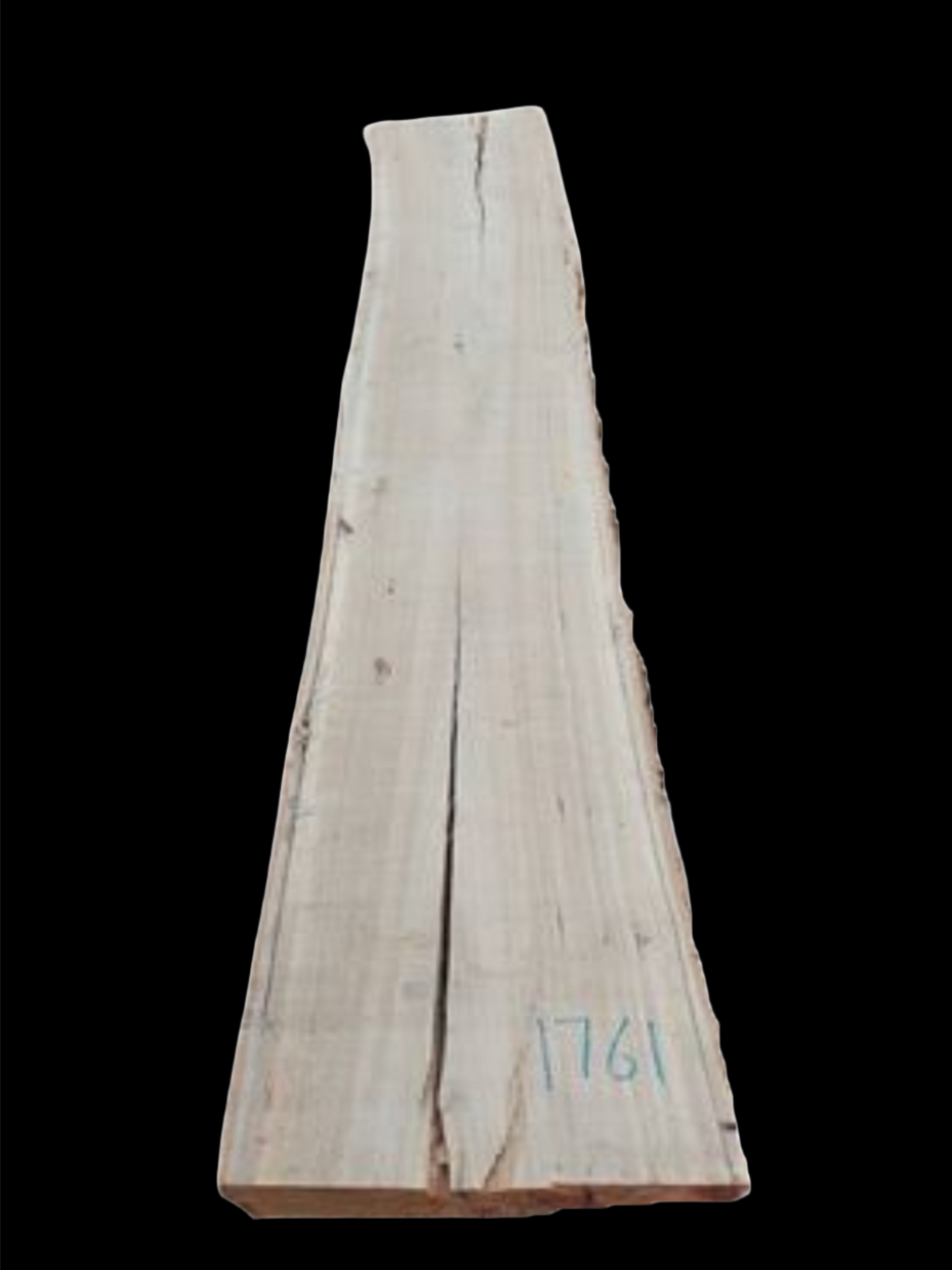 #1761 - Spotted Gum