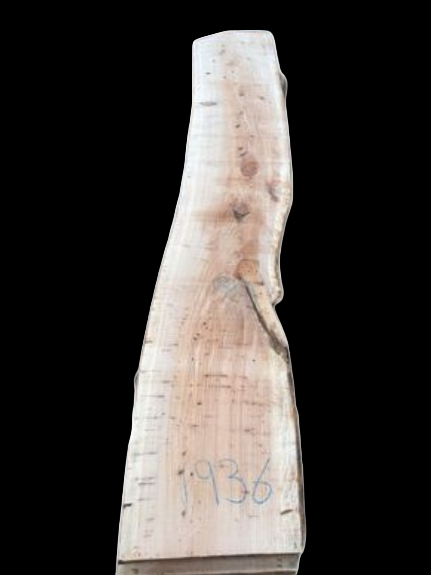 #1936 - Cypress Pine