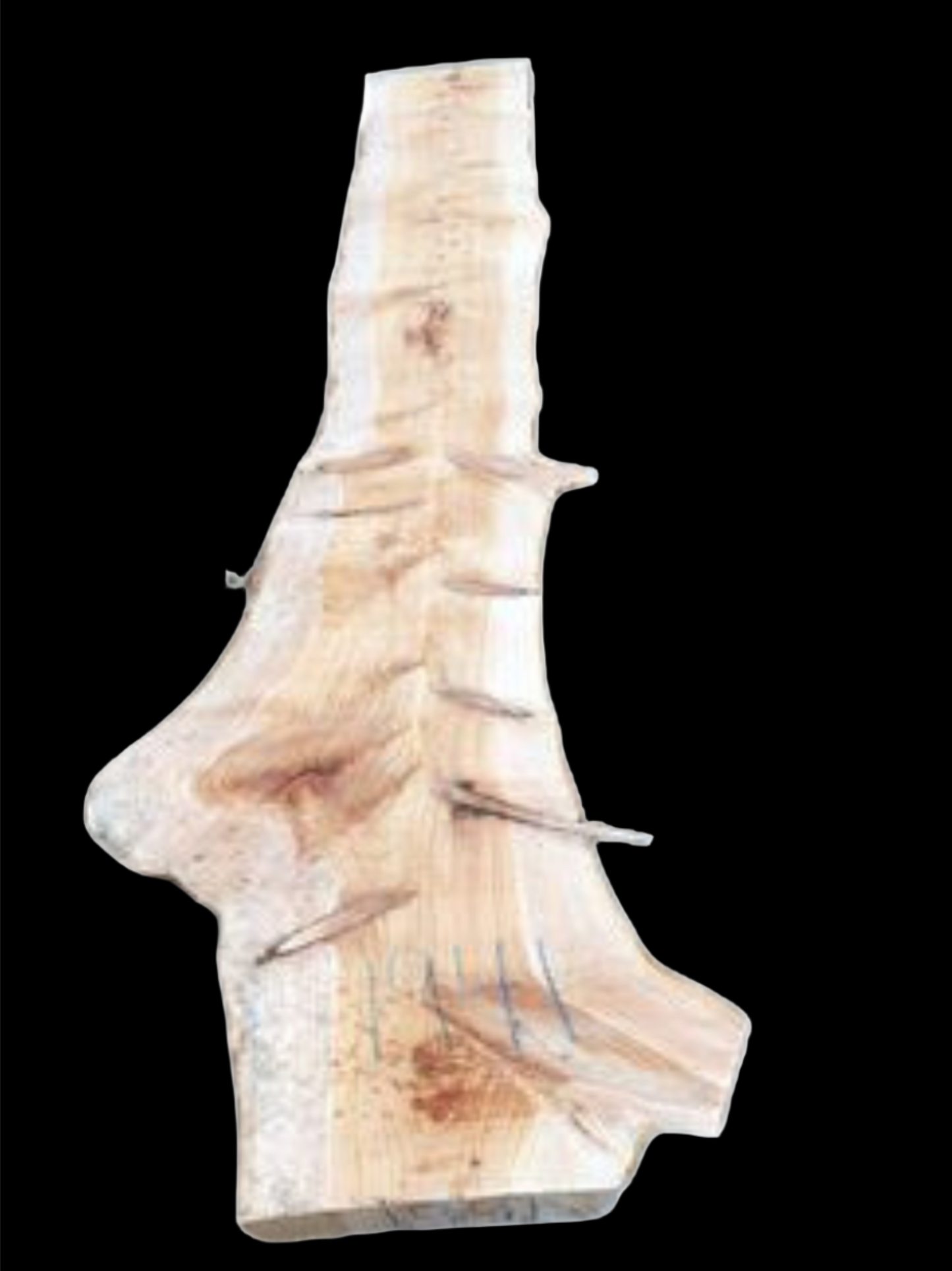 #1941 - Cypress Pine