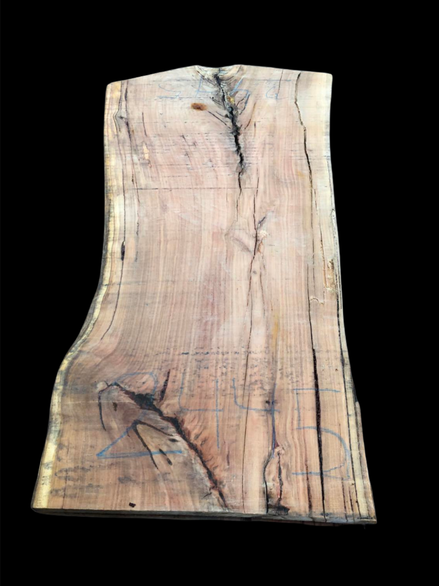 #2445 - Mountain Ash