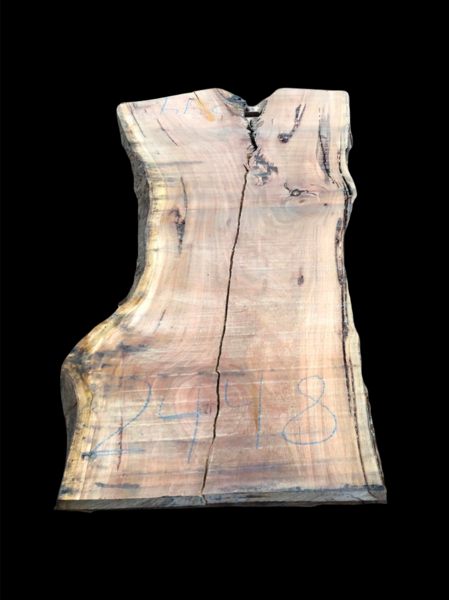 #2448 - Mountain Ash