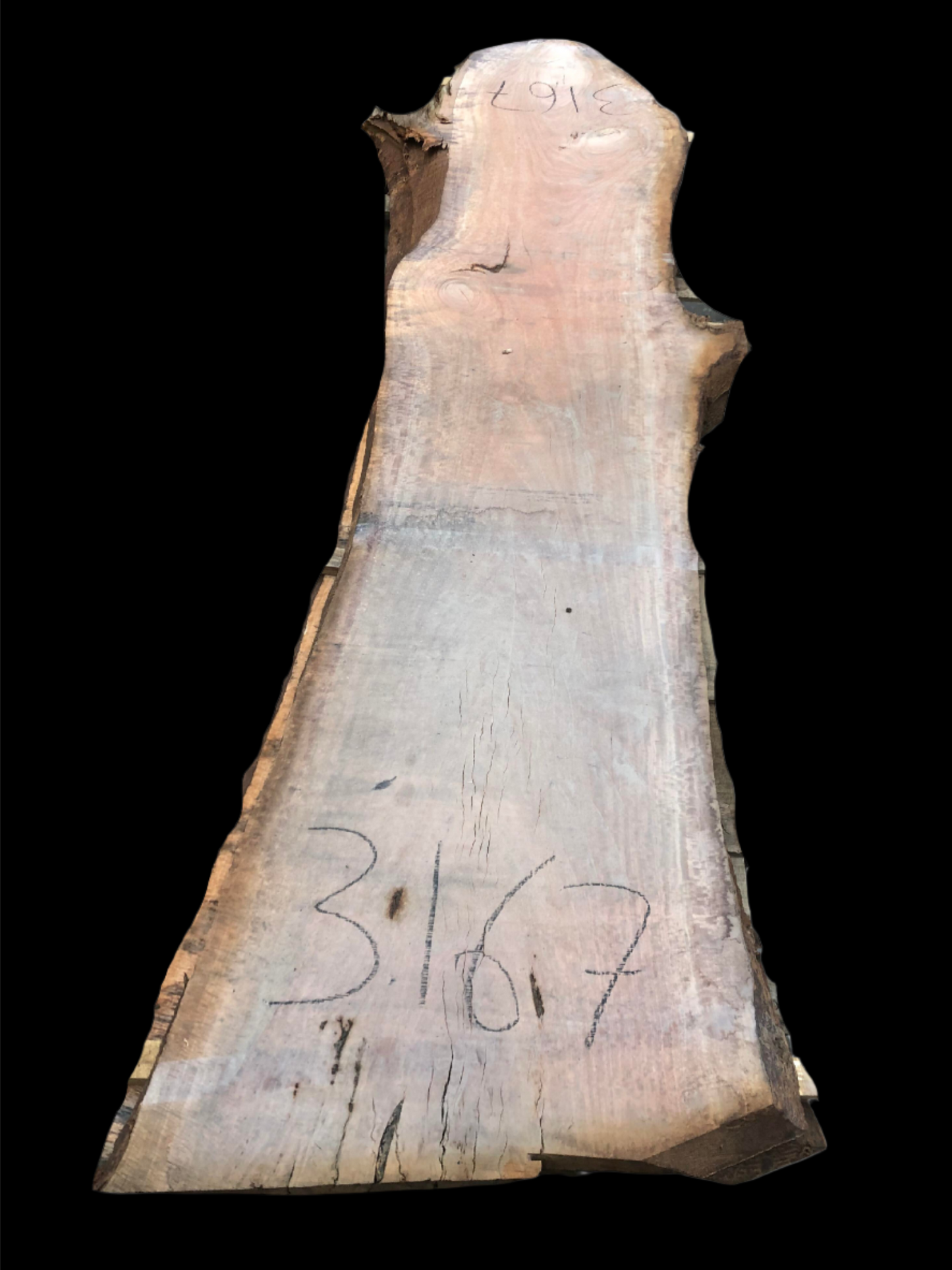 #3167 - Blue Gum