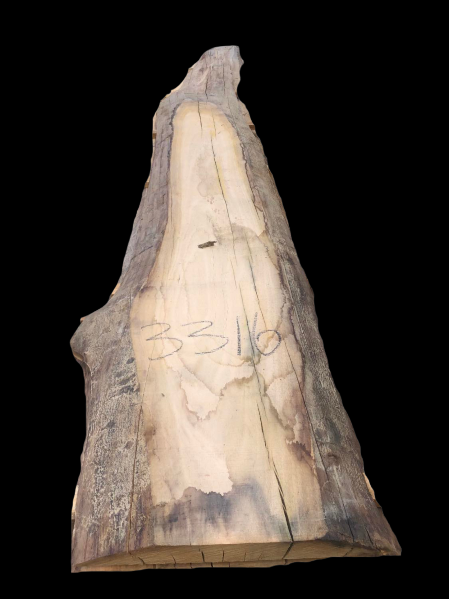 #3316 - Mountain Ash