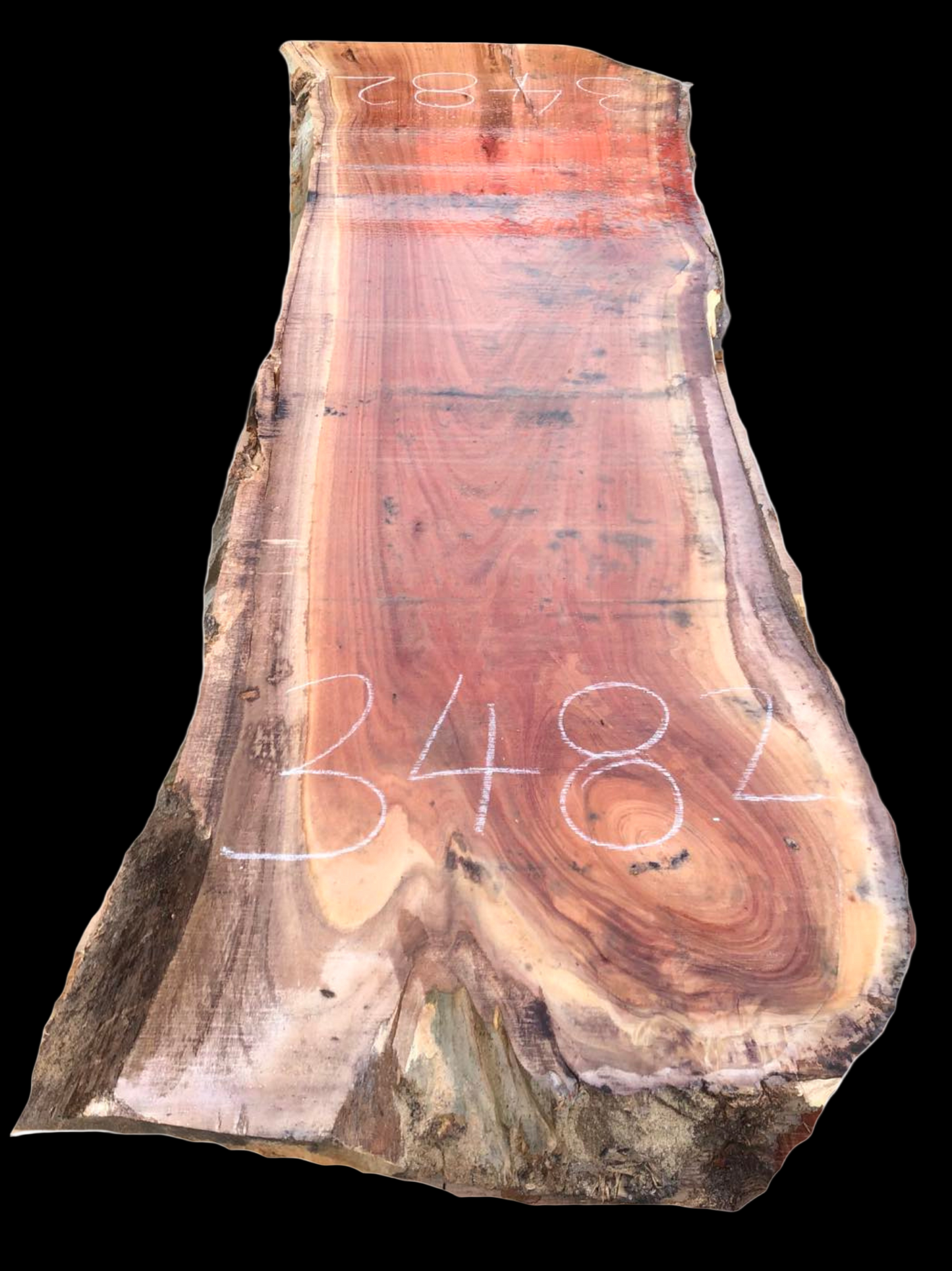 #3482 - Spotted Gum - Price TBA