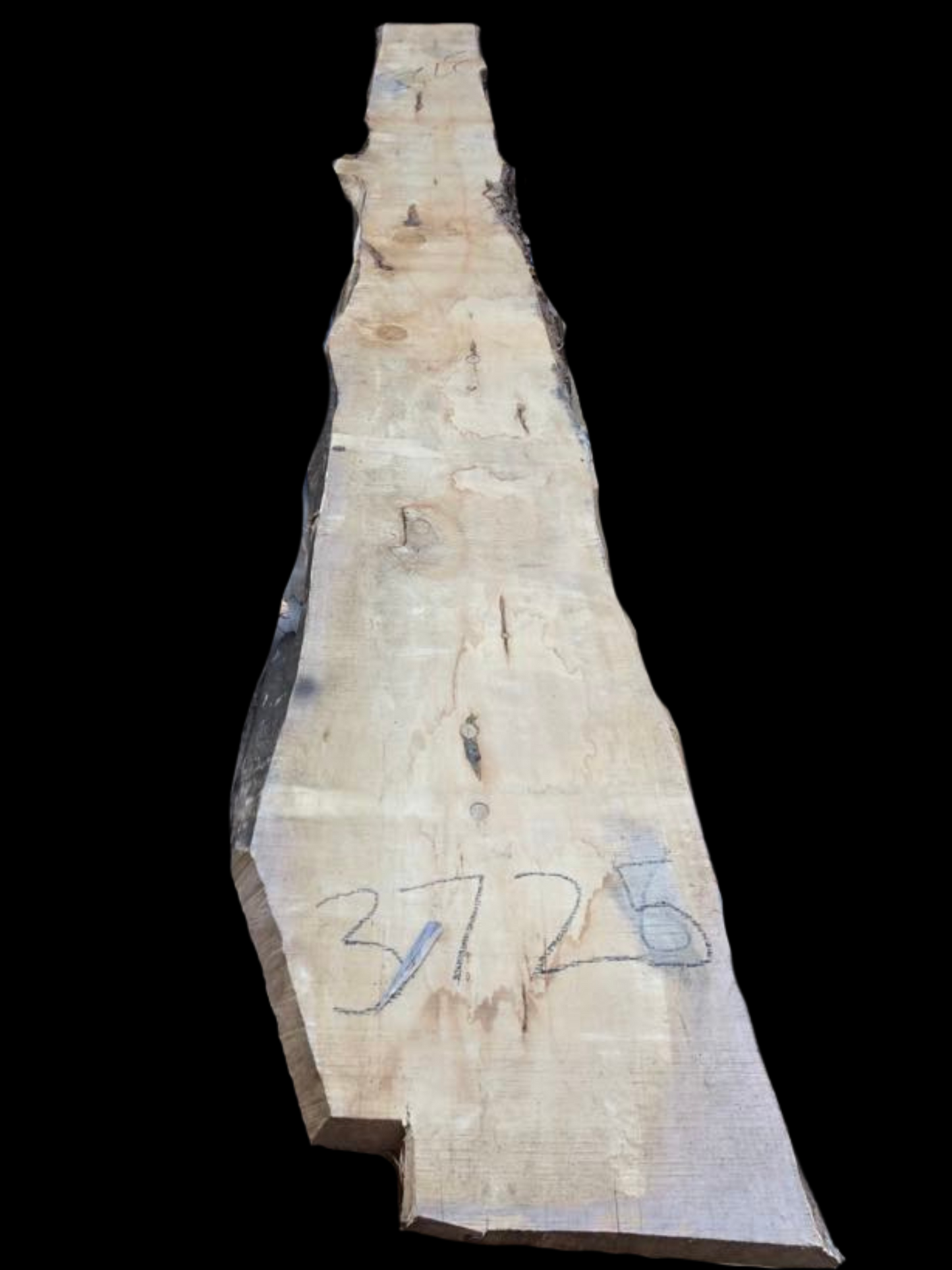 #3725 - Cypress Pine