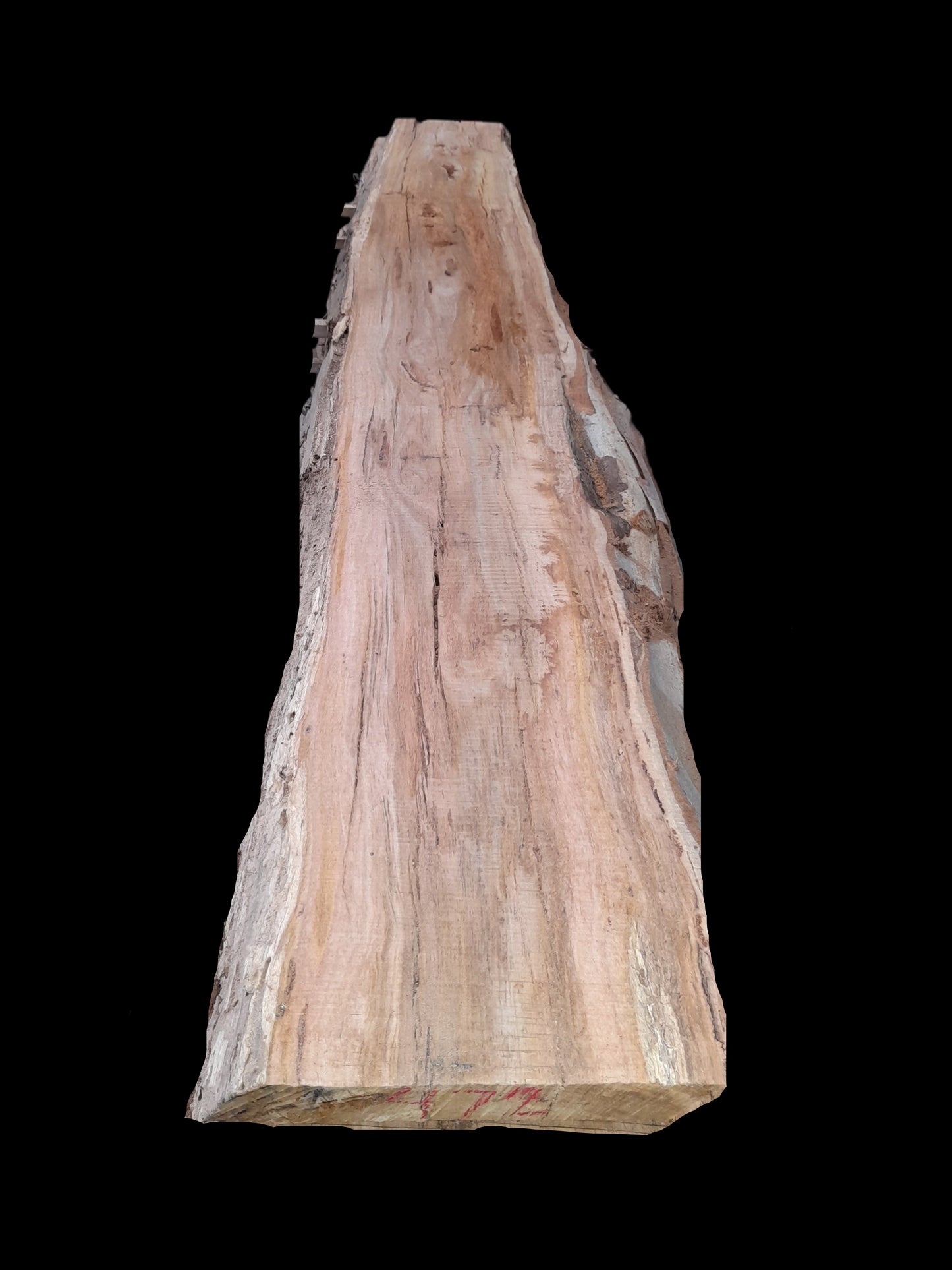 #472 - Spotted Gum Black Saturday