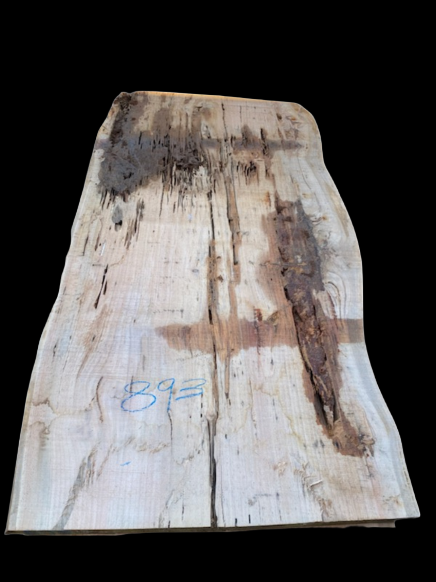 #893 - Spotted Gum