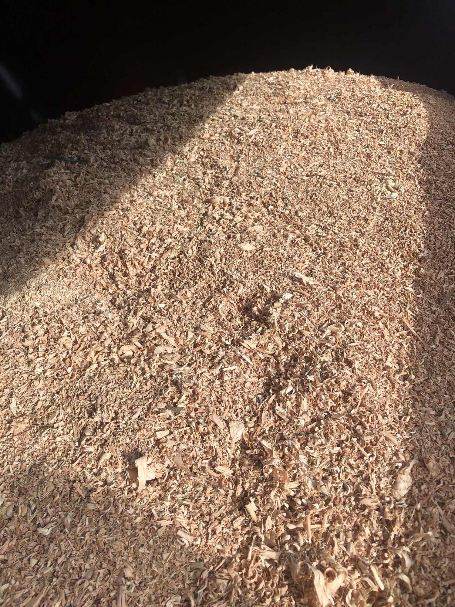 Kiln Dry Saw Dust Shavings
