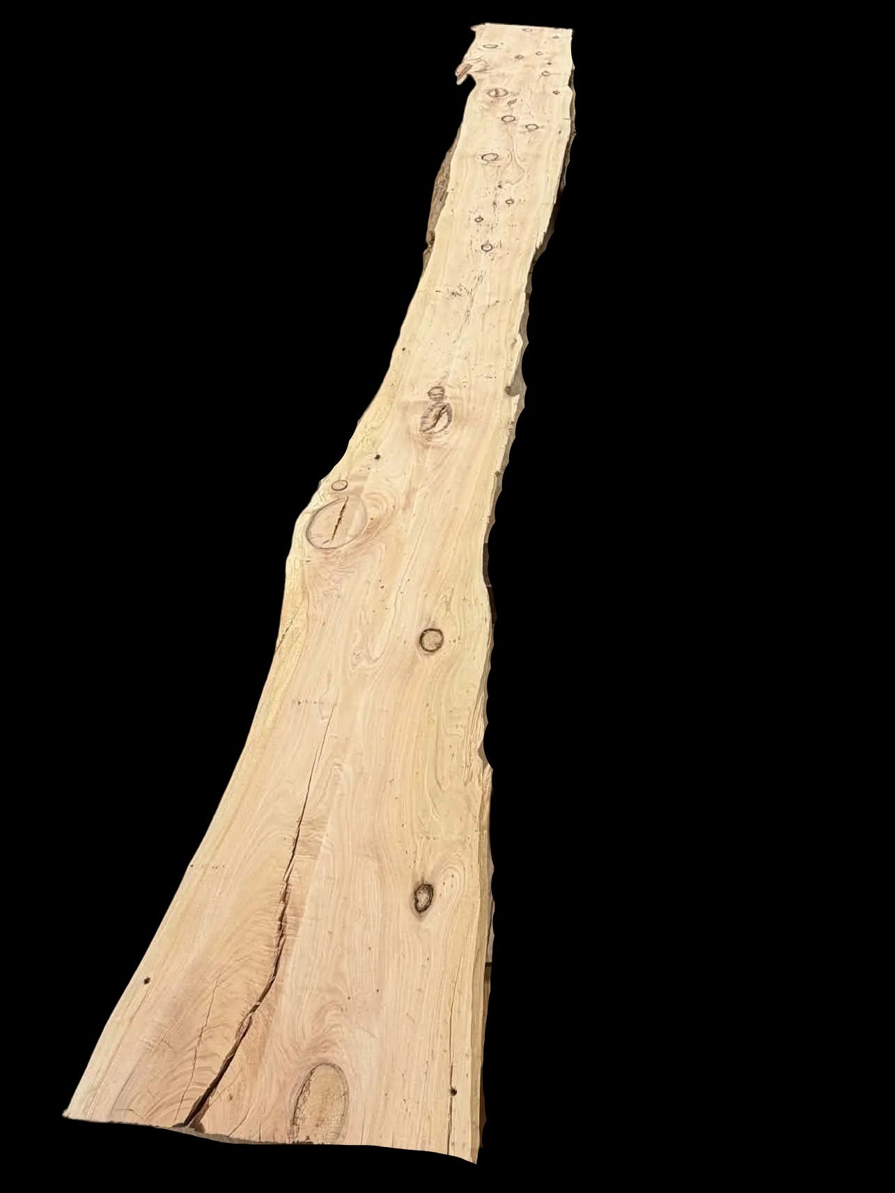 #3733 - Cypress Pine Flattened