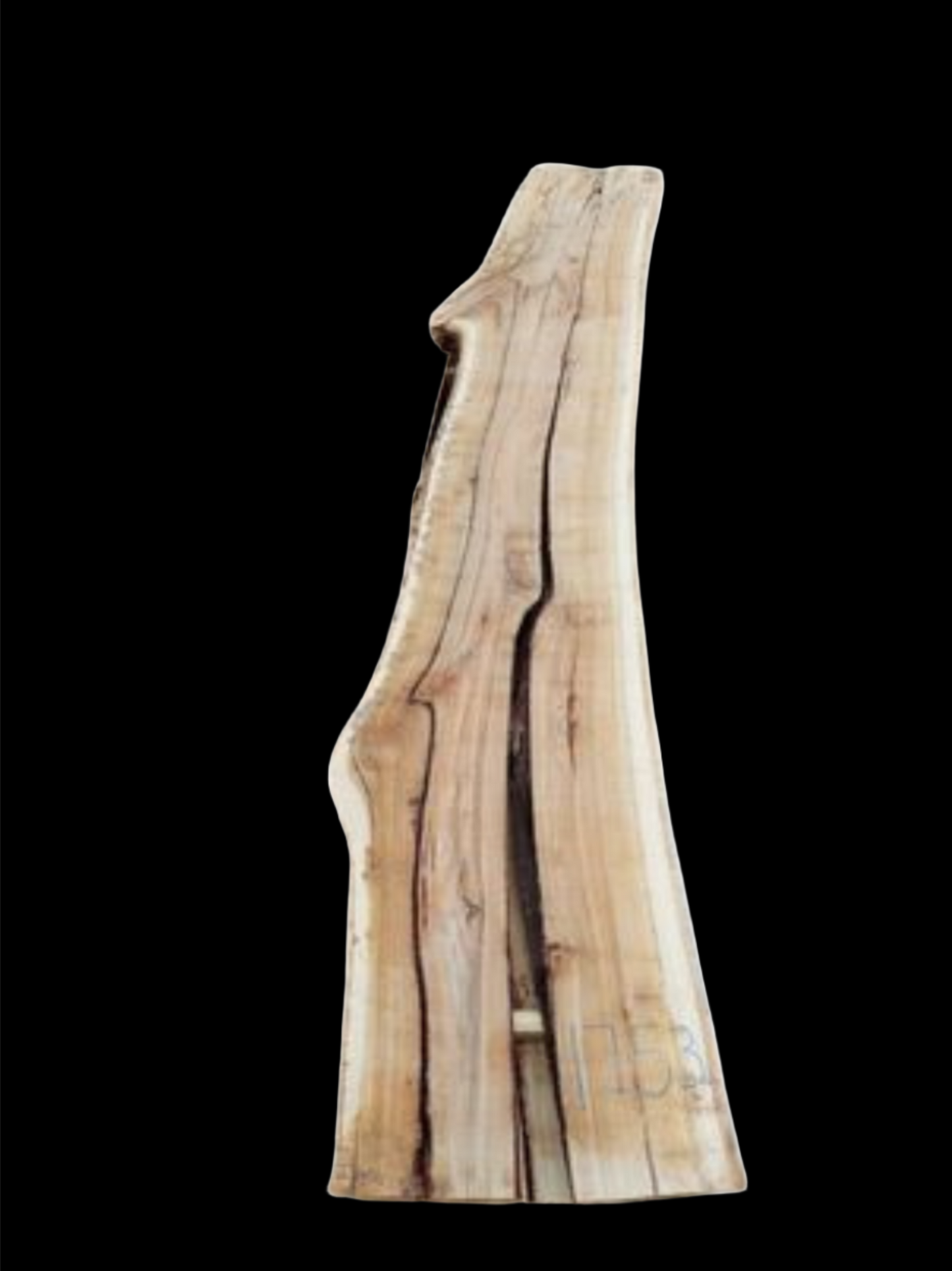 #1753 - Spotted Gum