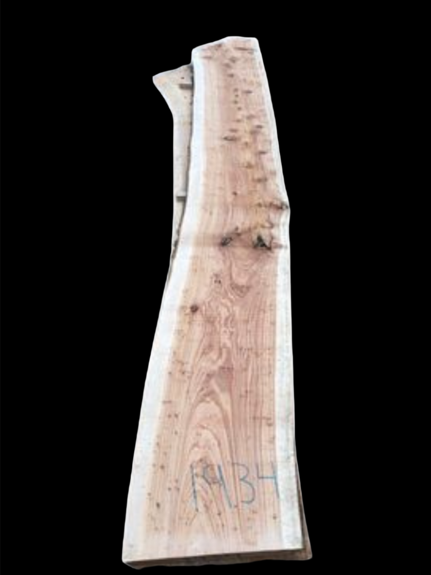 #1934 - Cypress Pine