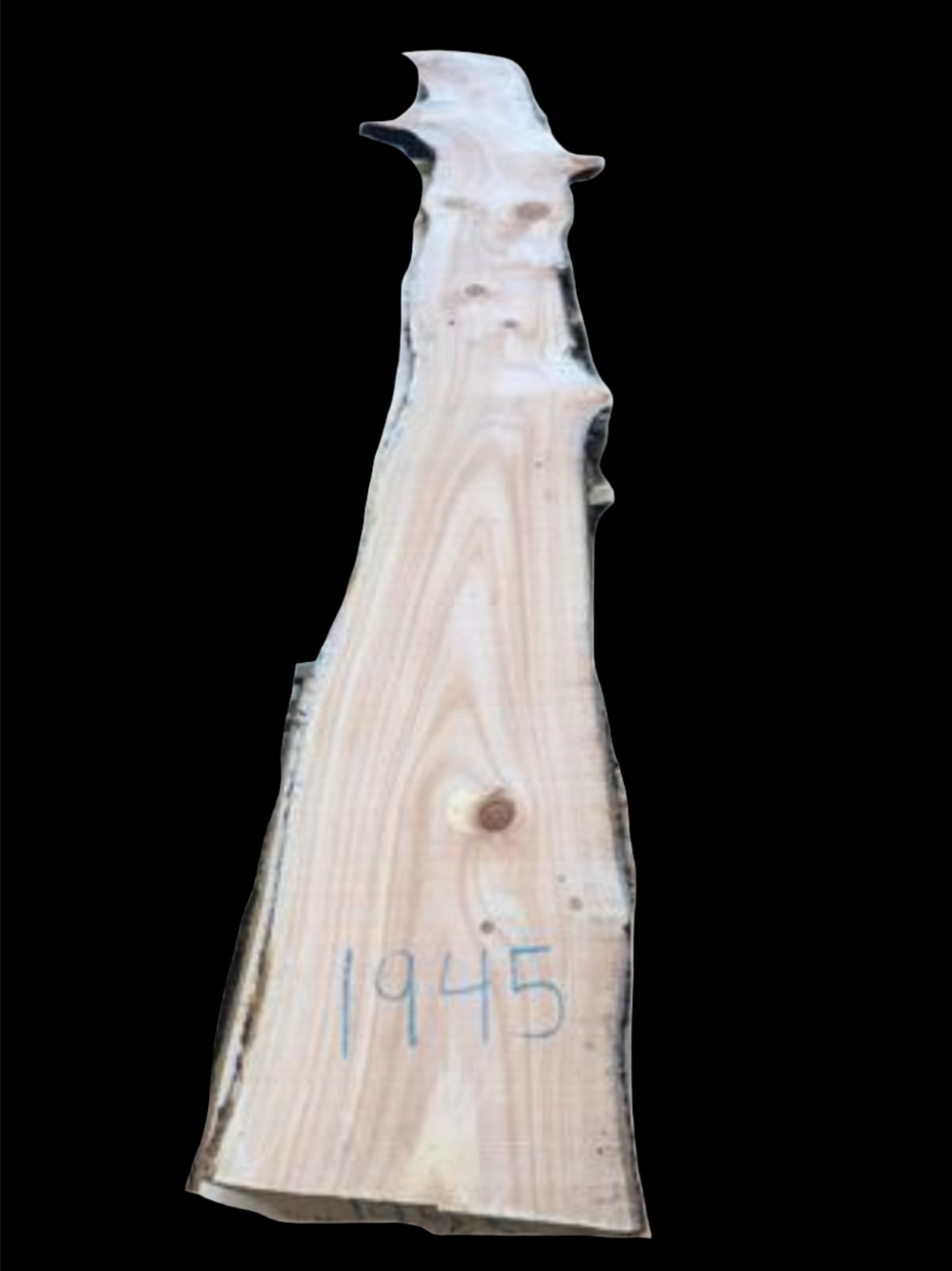 #1945 - Cypress Pine