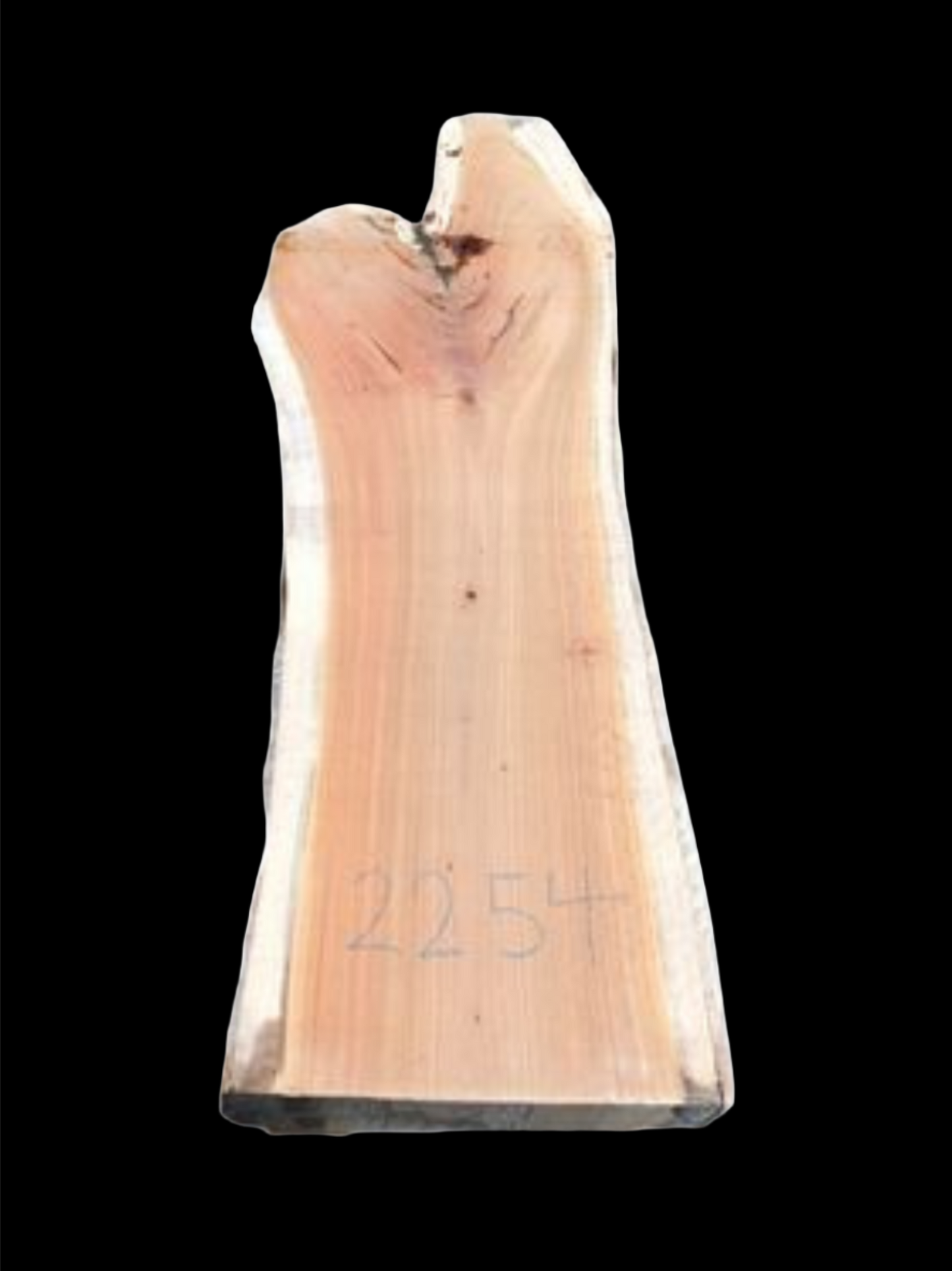 #2254 - Spotted Gum