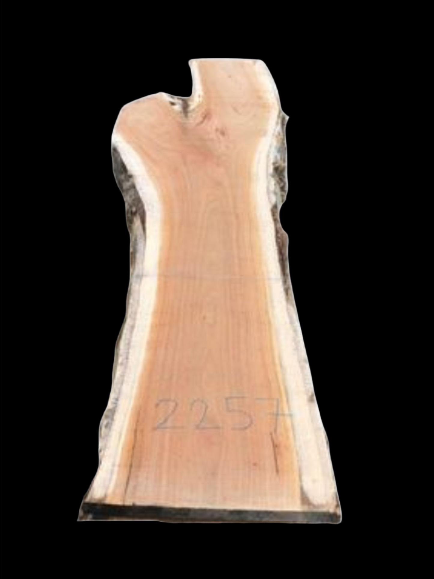 #2257 - Spotted Gum