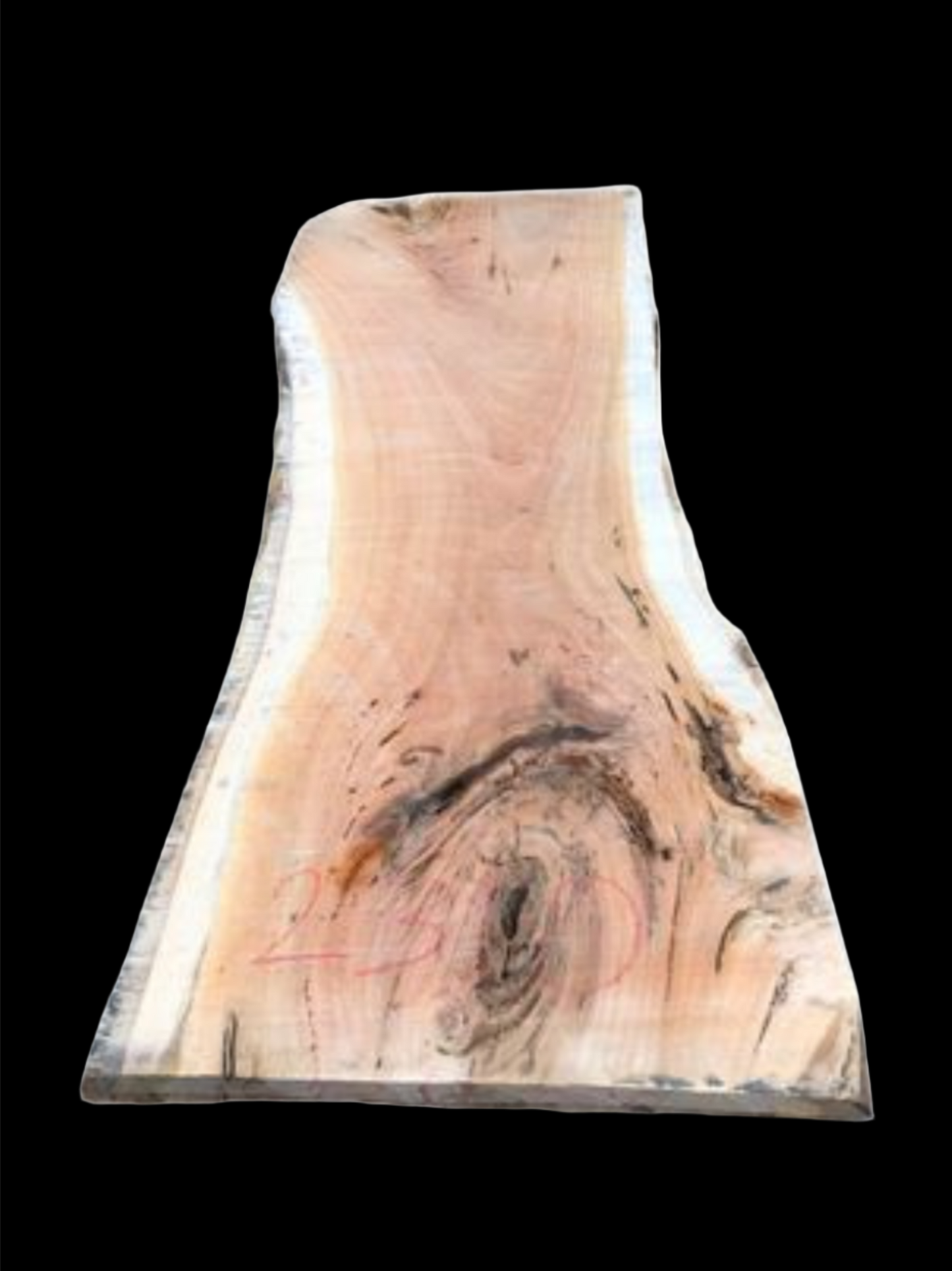 #2310 - Spotted Gum