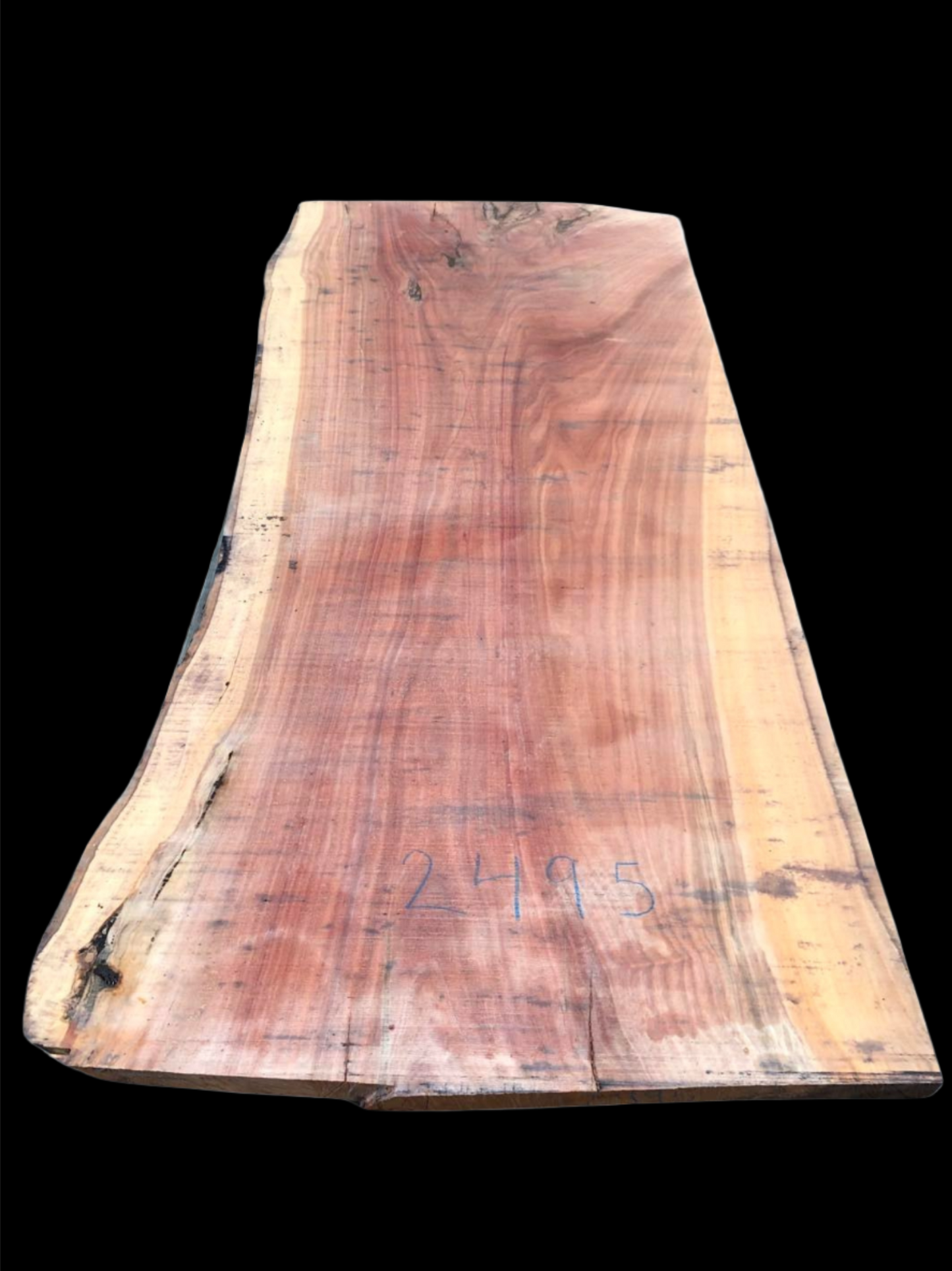 #2495 - Spotted Gum