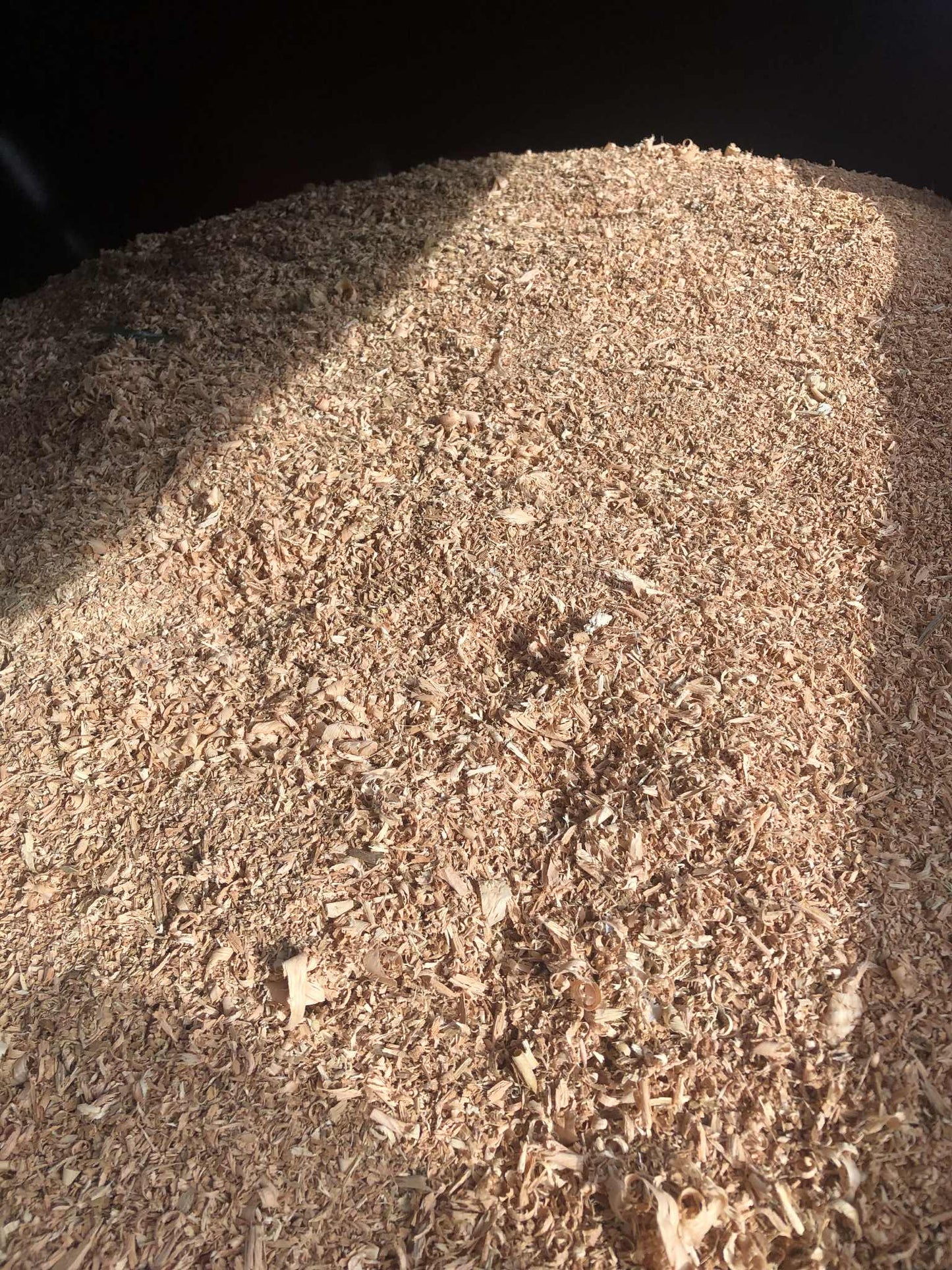 Kiln Dry Saw Dust Shavings