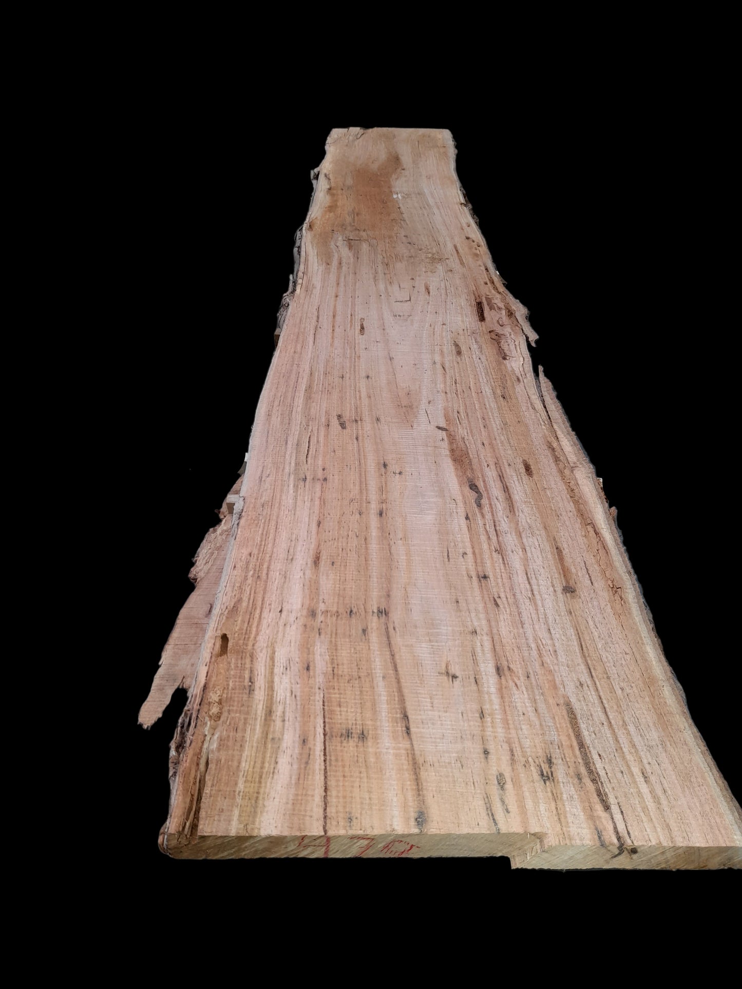 #470 - Spotted Gum Black Saturday