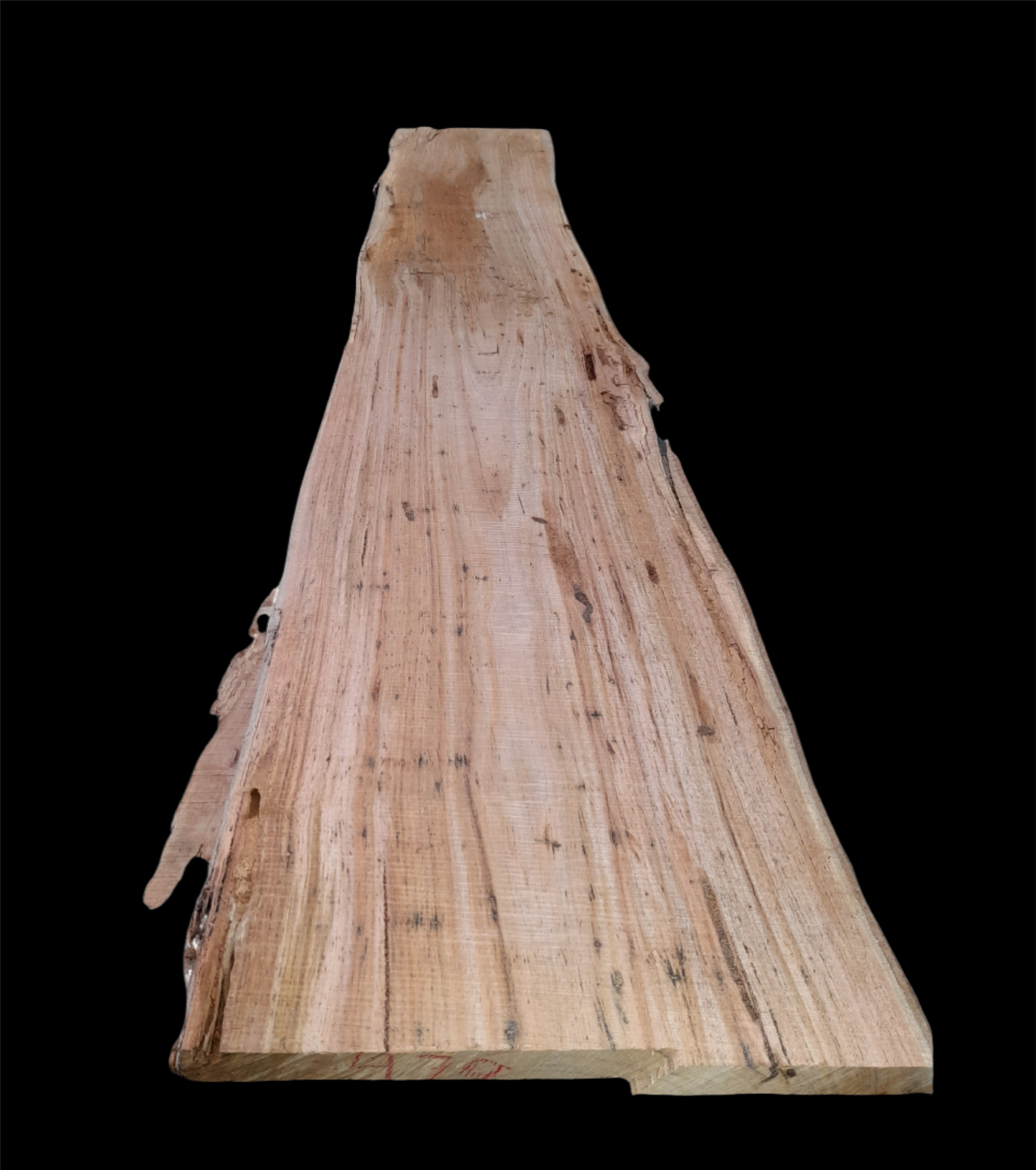 #470 - Old Spotted Gum - Black Saturday