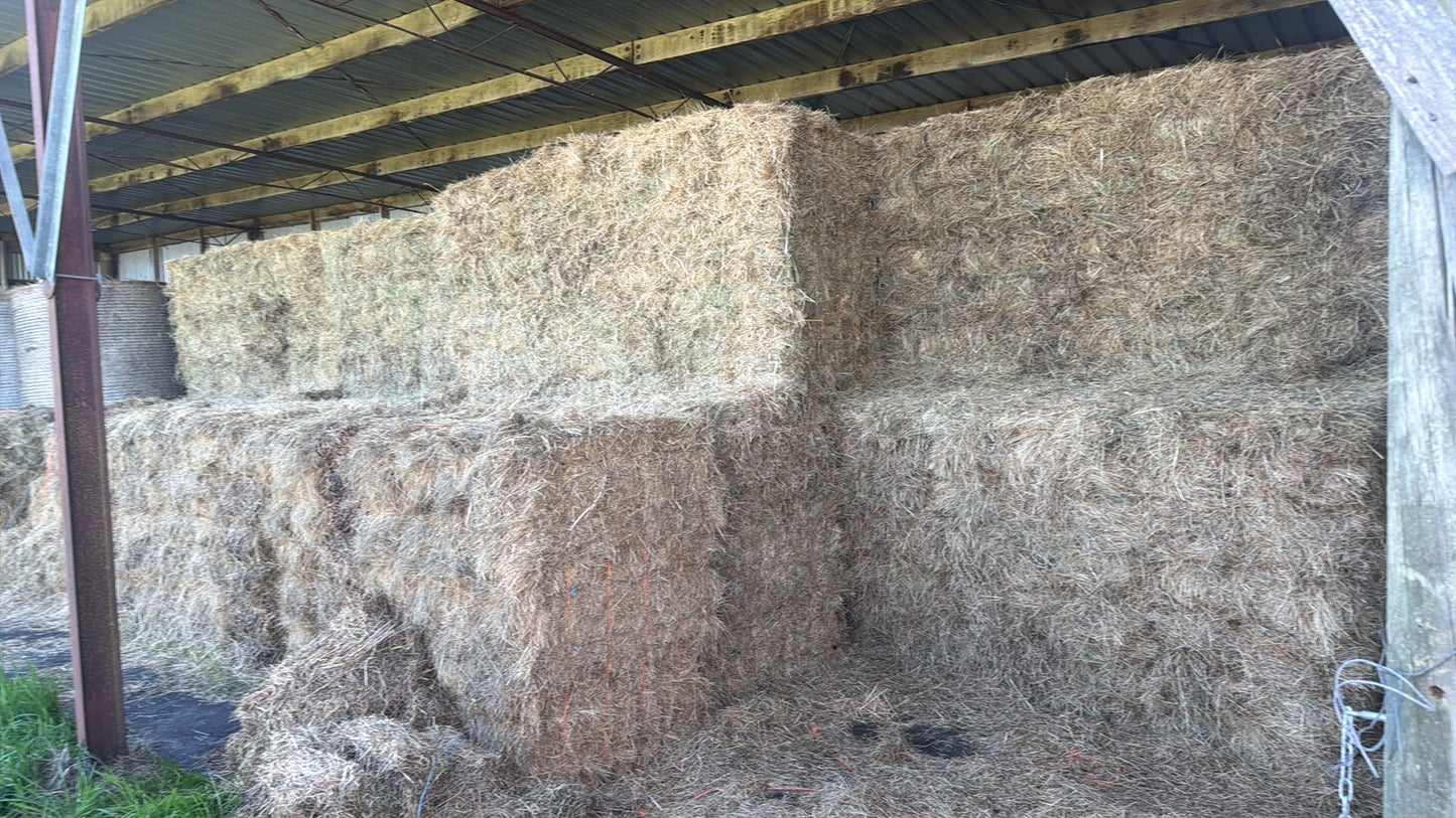 Square Bales