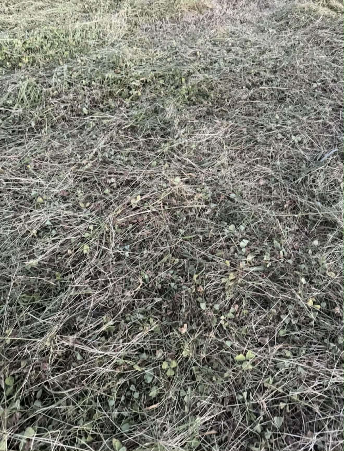 Round Hay Bales
