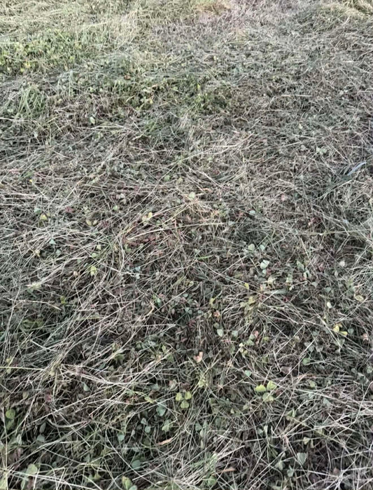 Round Hay Bales