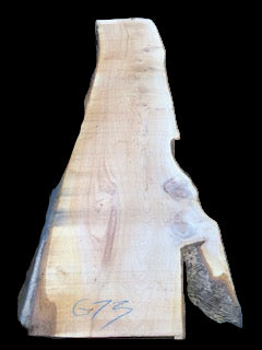 #673 - Cypress Pine
