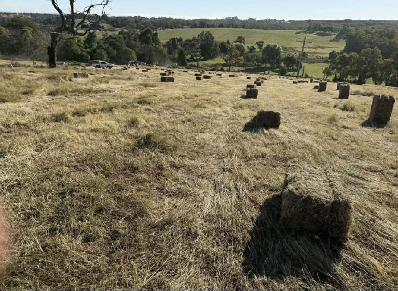Square Bales