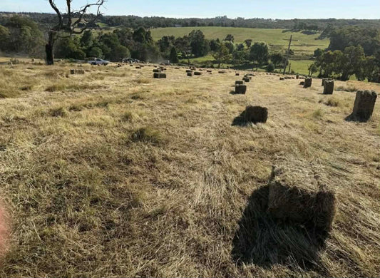 Square Bales