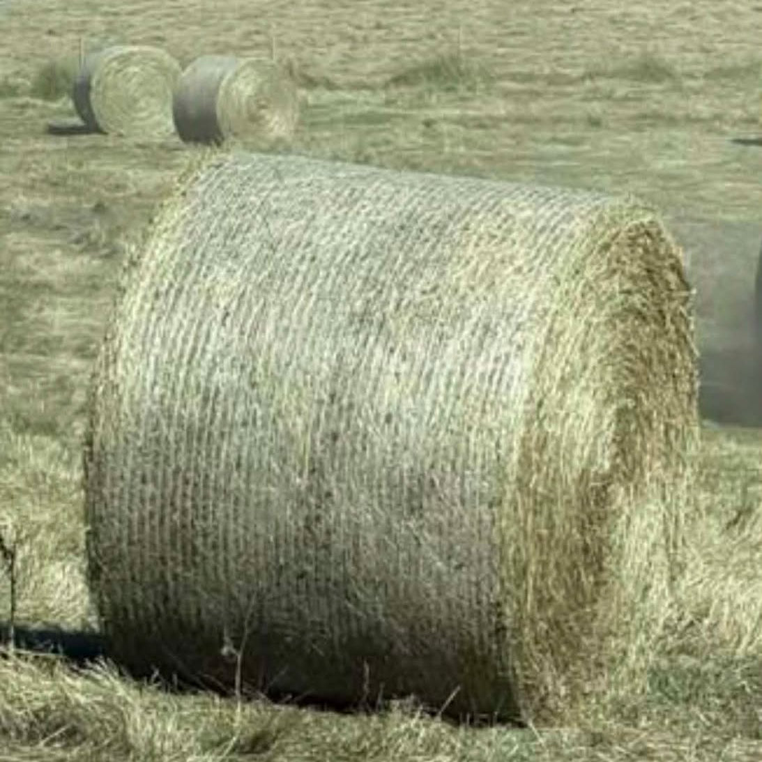 Round Hay Bales