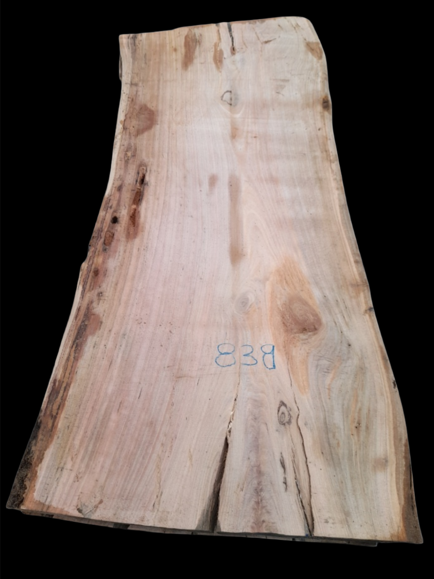 #838 - Spotted Gum