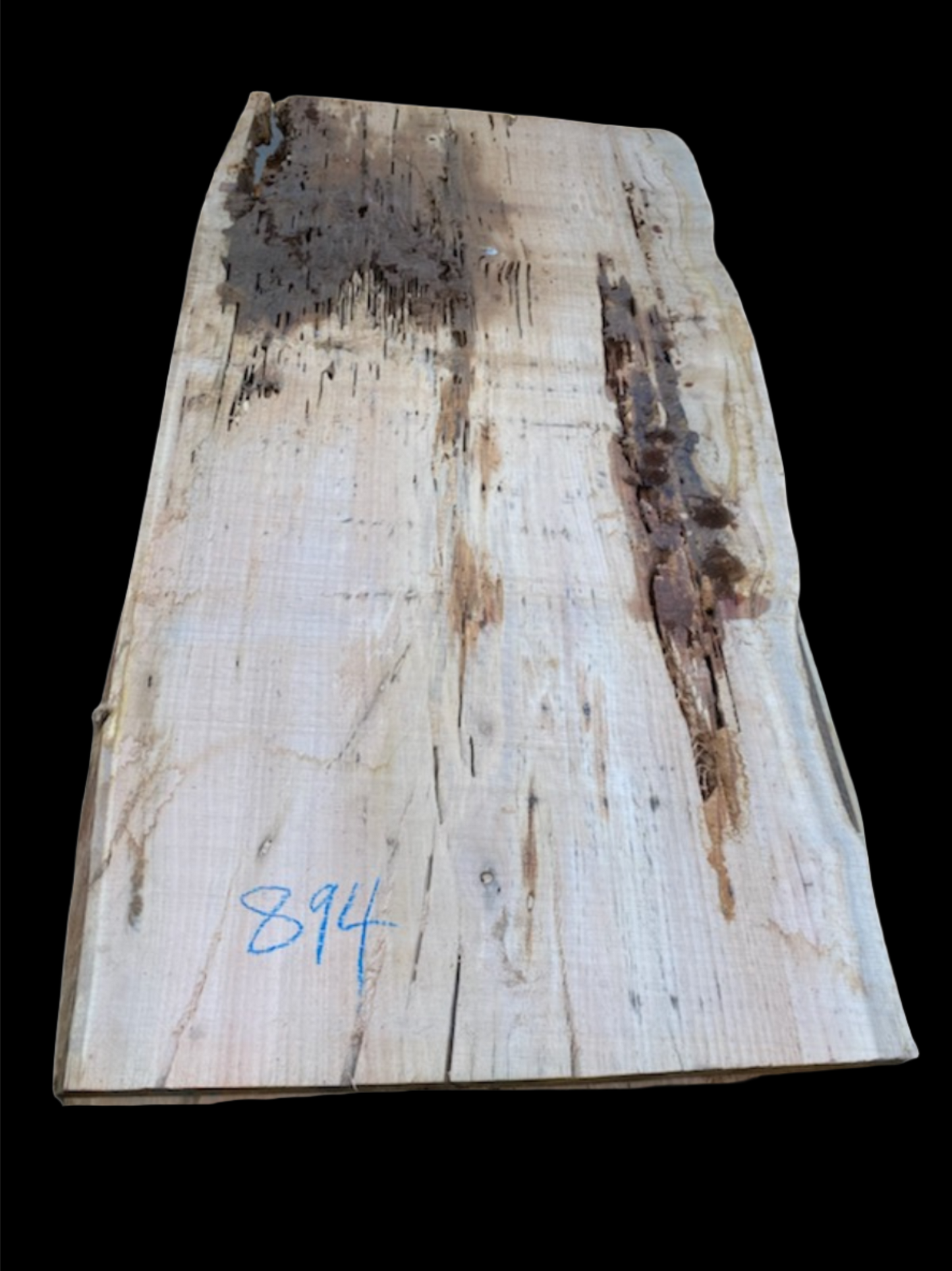 #894 - Spotted Gum