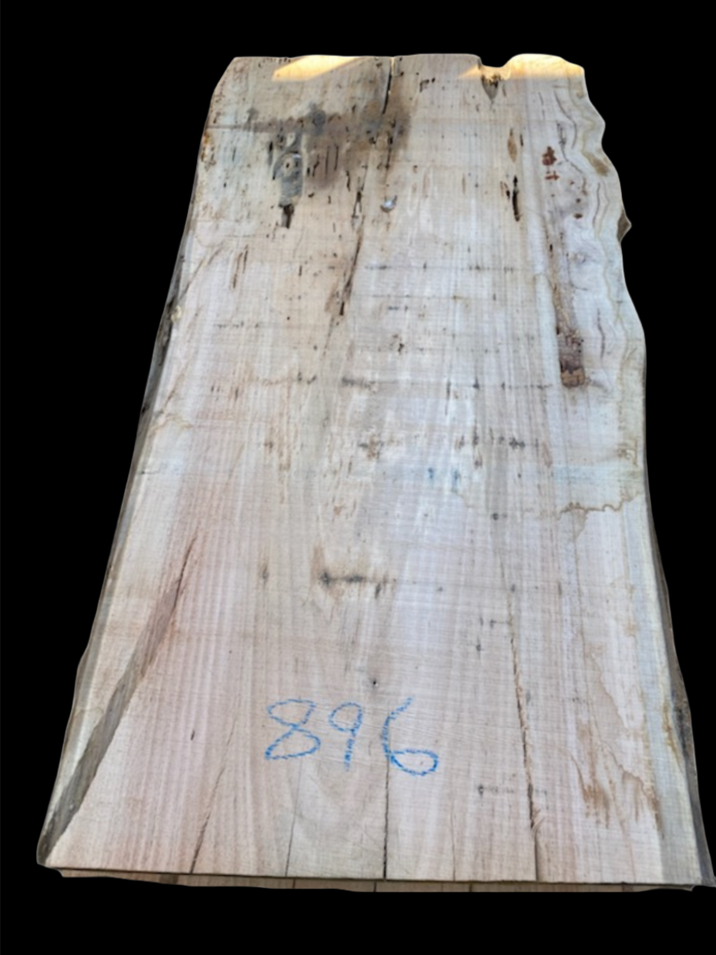 #896 - Spotted Gum